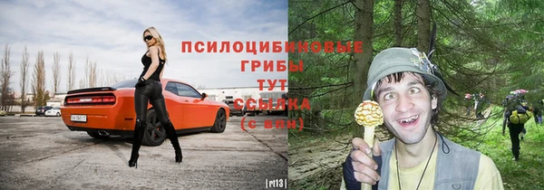 мет Приозерск