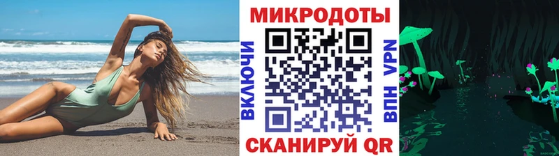 Галлюциногенные грибы Psilocybine cubensis  Купить  Шимановск 